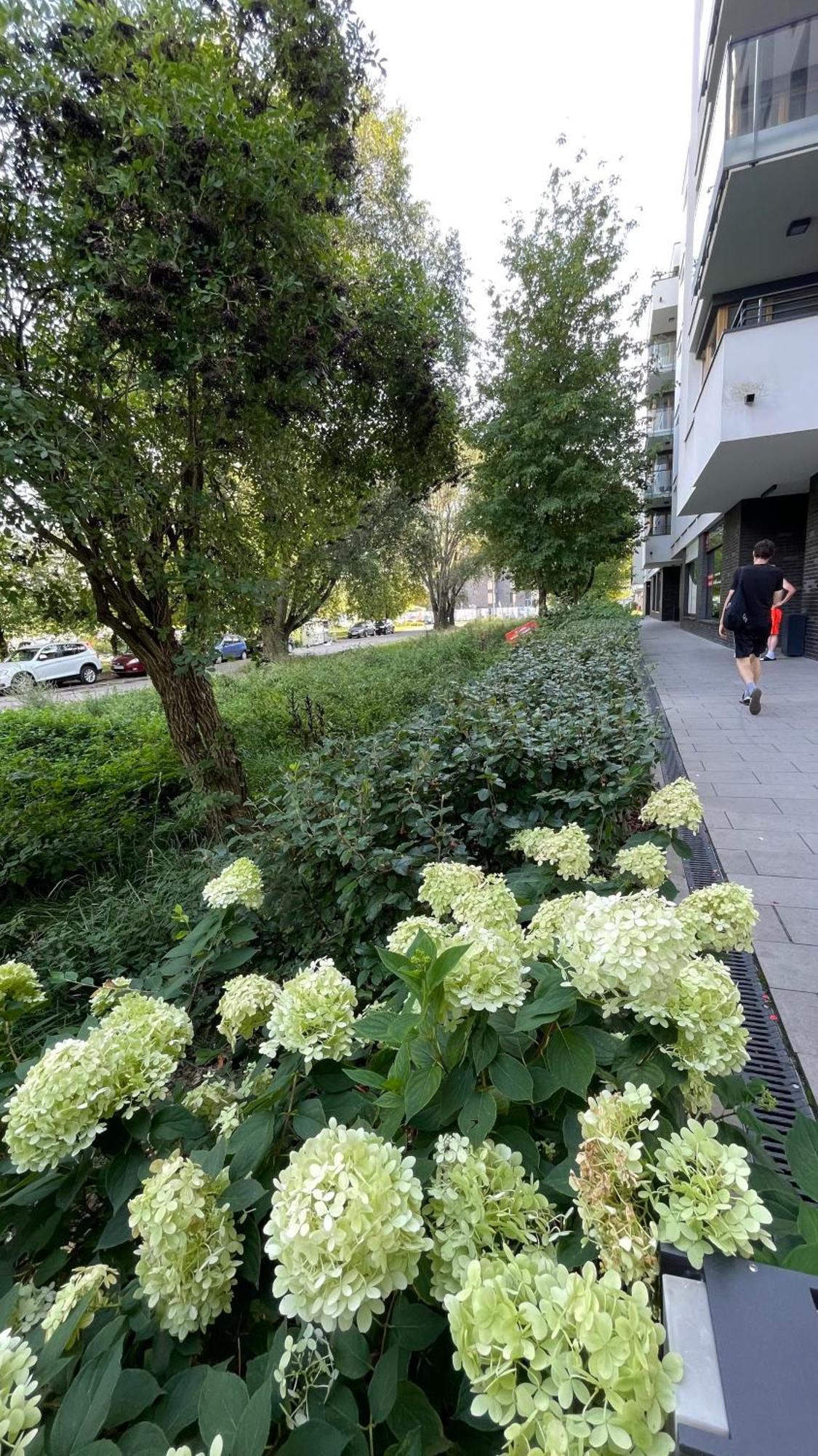 Apartamenty Warszawa Centrum Wlodarzewska 30 Kültér fotó